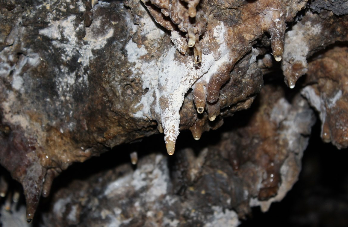 Estalactita calcárea. Cueva Fea - Cueva del Diablo