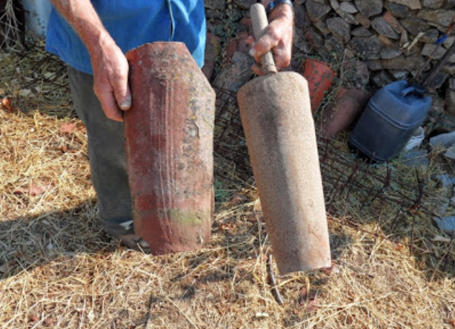 Galápago de tejas