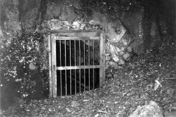 Bocamina de la Galería "Caldero de Meleno"